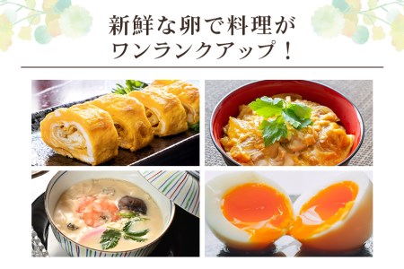 平飼い幸せの青い卵（アローカナの卵）24個（20＋補償4個）×定期便6回 たまご タマゴ 玉子 安全 テレビ TV マニアさん 健康 美容 ご飯 すき焼き 目玉焼き 卵焼き 玉子焼き たまご焼き 卵か