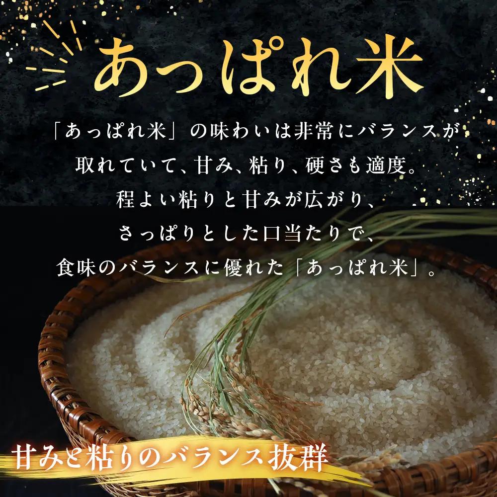 【令和8年産・早期予約受付】北海道産 津別町あっぱれ米（玄米）10kg | 米 お米 新米 玄米 国産米 農家直送 産地直送 北海道 津別町 送料無料
