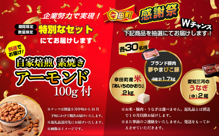 【期間限定 幸田町感謝祭】エアウィーヴ 02 クイーン マットレスパッド 寝具
