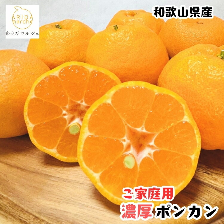 【ふるさと納税】 【先行予約】 極甘 柑橘 有田育ちの 濃厚 ポンカン（訳あり 家庭用） / みかん 柑橘 果物 フルーツ 甘い 和歌山 晩柑 有田※2027年1月上旬～3月上旬に順次発送 ※北海道・沖縄・その他離島地域は発送不可 //dekopon