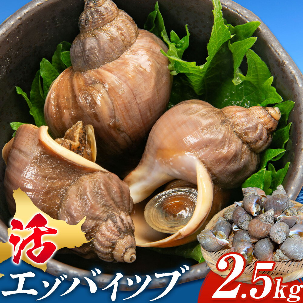 【ふるさと納税】活 エゾバイツブ 2.5kg 産地直送 大津漁業協同組合 2026年先行予約 北海道 豊頃町 大津産 つぶ貝 ツブ 貝 磯つぶ 刺身 煮付け 煮物 焼き食 塩ゆで 海鮮 旬 希少 贅沢 お取り寄せ グルメ 送料無料 《5月中旬-6月下旬頃出荷》