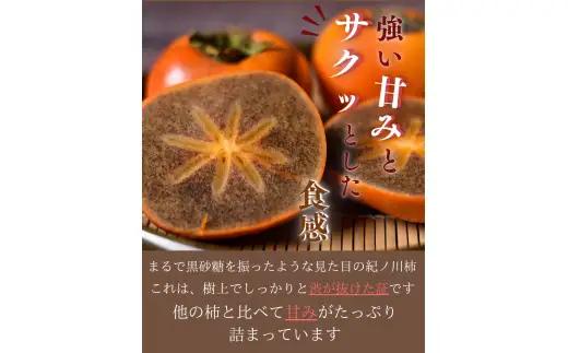 紀ノ川柿  約 2kg 2L~4L(サイズおまかせ) 秀品 / カキ 甘い 美味しい 紀美野町産 ※2026年10月中旬～11月上旬に順次発送【frt504-r-kino-2】