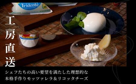 モッツァレラ3個（1個125g） &  リコッタ 1個（100g）セット　チーズ モッツァレラ リコッタチーズ 冷蔵  個包装 カプレーゼ パスタ ピザ   前菜 サラダ 新鮮 生乳 国産 低温殺菌 