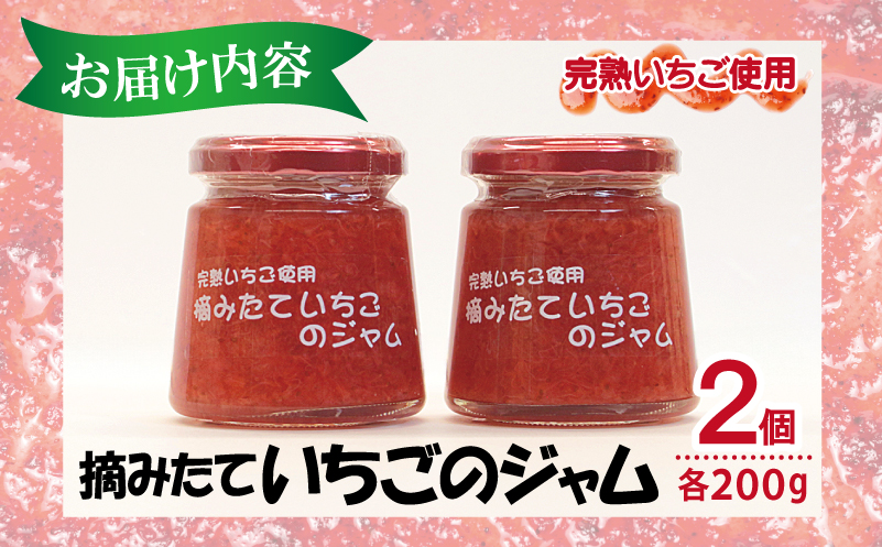 完熟朝摘みいちごのジャム【苺 無添加 自然素材 フルーツ イチゴ 高評価 数量限定】 G1488