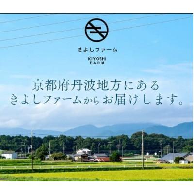 ふるさと納税 京都府 【毎月定期便】【産地直送】旬のお野菜詰め合わせ 京野菜セット6〜8種類 ネラの卵 6個付き全12回 |  | 03