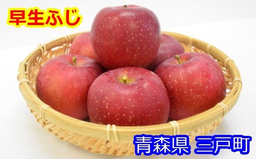 りんご【早生ふじ】約5kg（12～20玉）【2025年産・先行予約】★2025年9月下旬～10月下旬頃まで発送予定★ 青森県三戸町産