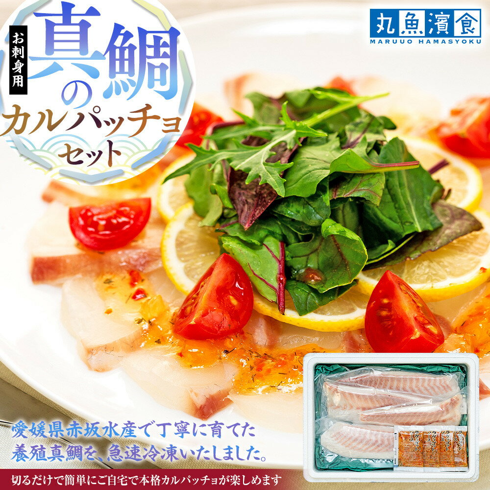 【ふるさと納税】お刺身用・真鯛のカルパッチョセット | 真鯛 白寿真鯛0 抗酸化力　お刺身 カルパッチョ 冷凍 急速凍結 丸魚濱食