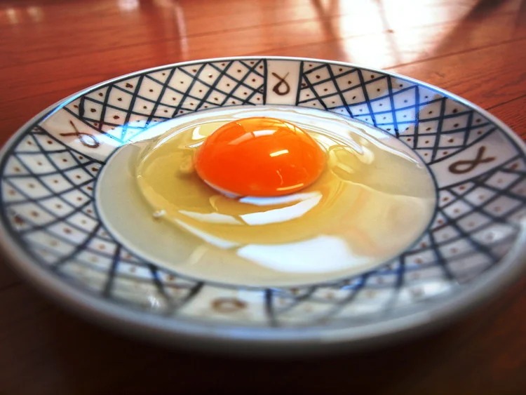 33-O　【9か月定期便】平飼い会津地鶏の卵 3kg（50～60個） ※沖縄・離島への配送不可
