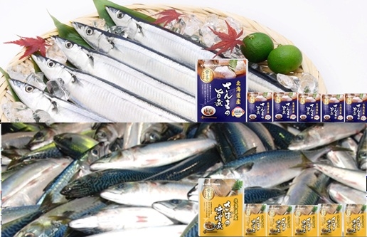 
                  A-40022 骨まで食べれる！さんま旨煮×6P・さば味噌煮×6Pやわらか煮セット
                