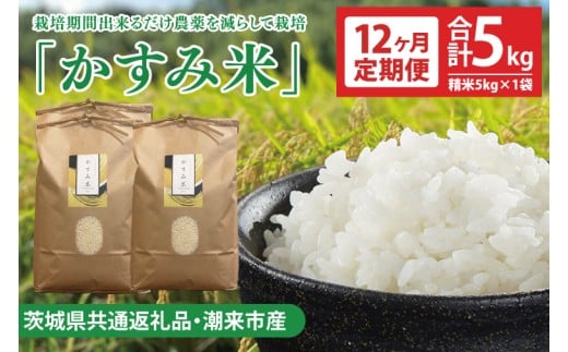 ★先行予約 令和8年産 新米★【定期便 12ヶ月】栽培期間出来るだけ農薬を減らして作る「 かすみ米（コシヒカリ）白米 5kg 」【茨城県共通返礼品・潮来市産】減農薬 こしひかり おいしい おこめ 安心 安全 健康 精米（KBE-67）