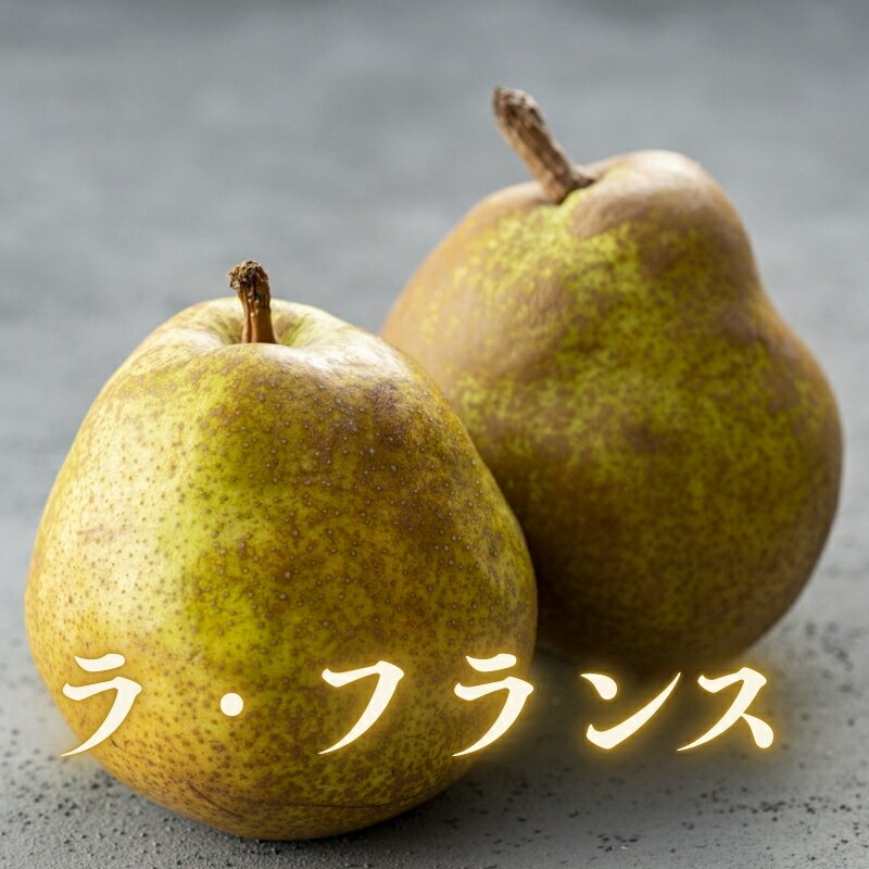 【ふるさと納税】No.1729ラ・フランス 約2kg　【2025年発送】