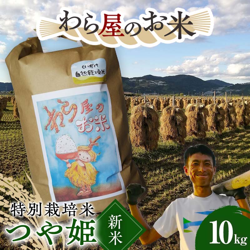 【ふるさと納税】 【令和7年産 新米 先行予約】 【わら屋のお米】 特別栽培米 つや姫 10kg 《令和7年10月下旬～発送》 『おがわ藁農園』 米 白米 精米 ご飯 農家直送 山形県 南陽市 [2168-R7]