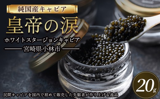 【純国産キャビア】ホワイトスタージョンキャビア 20g 皇帝の涙 国産 チョウザメ 魚卵 宮崎県