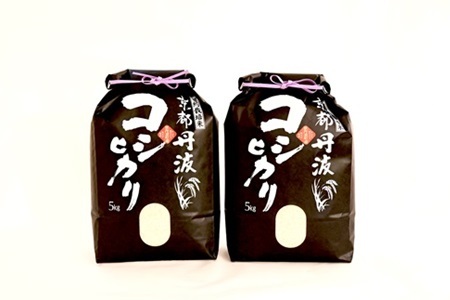 【12回定期便】 京丹波こしひかり 10kg×12カ月連続 合計120kg 令和8年産 [216MB001R]