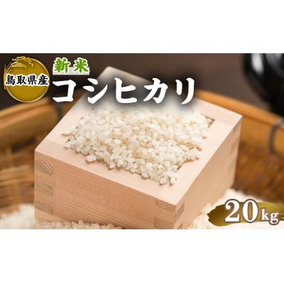 ふるさと納税 境港市 令和7年産新米鳥取県産コシヒカリ(20kg)