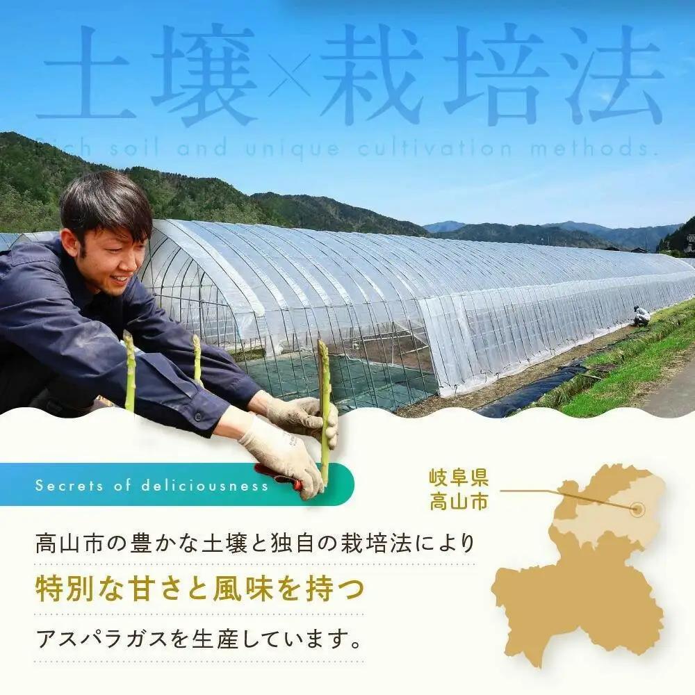 【2026年発送】ひだっこアスパラガス 600g 産地直送 アスパラガス CM001VC01