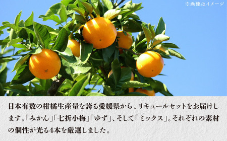 愛媛県産「果実系リキュール」呑み比べセット BKAW002 リキュール