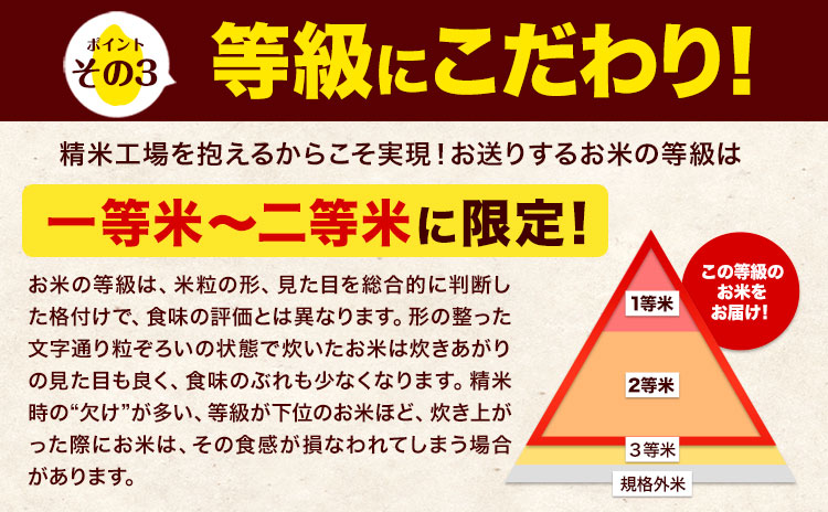 米 令和7年産 森のくまさん【12ヶ月定期便】 無洗米 10kg 5kg×2袋 計12回お届け 《お申込み翌月から出荷》 お米 こめ 熊本県産 ご飯 備蓄