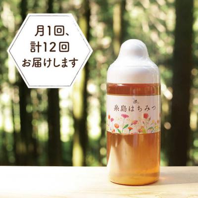 ふるさと納税 糸島市 【全12回定期便】糸島 はちみつ 520g/ヴァンベールフーズ[AFJ007] |  | 01