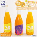 【ふるさと納税】数量限定＜贅沢みかんジュース 2種飲み比べ 3本セット（温州みかん720ml×2本・ミックス720ml×1本）＞果汁100％ ストレート 柑橘 果物 フルーツ 飲料 搾り 特産品 ギフト 贈り物 二ノ宮商事(株) 愛媛県 西予市【常温】『2025年3月下旬から順次出荷予定』