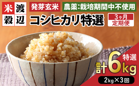 【期間限定】【3ヶ月連続お届け】【令和7年産】発芽玄米 コシヒカリ「特選」特別栽培米使用 2kg×3回（計6kg）【米 こしひかり 玄米 ギャバ GABA 特別栽培 食物繊維 栄養 真空パック ごはん ご飯 おいしい ふるさと納税米】 [D-2933]
