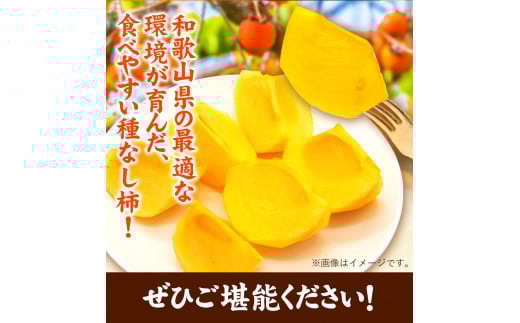先行予約【秋の味覚】和歌山産のたねなし柿2L～4Lサイズ約4kg（化粧箱入り）厳選館《10月上旬-11月上旬頃出荷》カキかきジューシー---wshg_tmt253_10j11j_25_16000_4k