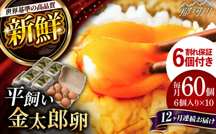 
            【全12回定期便】【TVで紹介！】鮮度ＡＡ級の世界最高ランク！金太郎卵 平飼い 卵 60個（6個入り✕10パック）＜有限会社 フジノ香花園＞那珂川市 卵 金太郎卵 平飼い卵 平飼い 卵 たまご [GAM013]
          