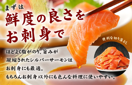 【便利でおいしい】サーモン 切り落とし 900g 小分け 300g×3 訳あり サイズ不揃い 刺身 海鮮丼 サラダ カルパッチョ