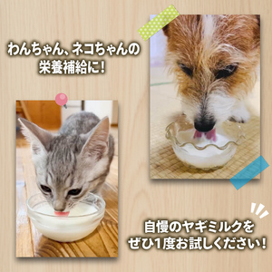 【 定期便 3ヶ月 】 ヤギミルク ペット用 7本 山羊 国産 乳 犬 猫