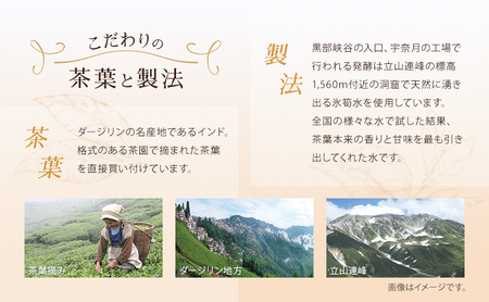 紅茶 グレイスピースティー（紅茶）レギュラー＆プレミアムセット/飲料 茶葉 ソフトドリンク 人気 おすすめ 送料無料/富山県黒部市 ダージリン 