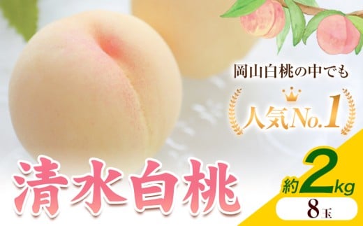 【2026年発送先行予約】清水白桃 8玉 約2kg 内容量 晴れの国おかやま館《2026年7月下旬-8月上旬頃出荷》 白桃 フルーツ 果物 岡山県 矢掛町 桃 モモ もも 送料無料