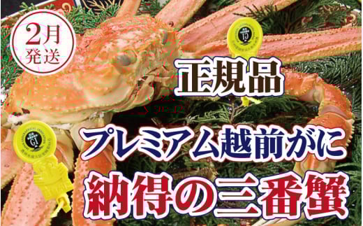 越前がに × 1杯（三番蟹）桐箱入り！納得のプレミアム越前がに【雄 ズワイガニ かに カニ 蟹 姿 生 ボイル 冷蔵 福井県】【2月発送分】【浜茹でお届け】希望日指定可 備考欄に希望日をご記入ください [e37-x008_02b]