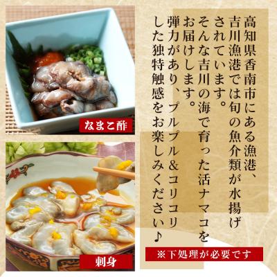 ふるさと納税 香南市 活ナマコ 2kg 赤ナマコ - 国産 産地直送 赤なまこ なまこ ナマコ 海産 海鮮 eb-0052 |  | 02