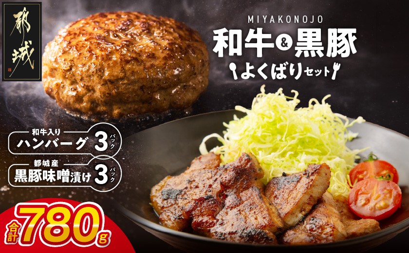 
                  和牛入りハンバーグ&黒豚味噌漬けセット_AA-N4-007_(都城市) 宮崎県産和牛・豚肉 ハンバーグ 黒豚ロースみそ漬け 真空 個包装
                