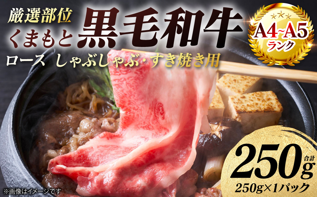 【A4～A5ランク】 【厳選部位】 くまもと黒毛和牛 ロース しゃぶしゃぶ すき焼き用 250g （250g×1パック） 和牛 牛肉 お肉 黒毛和牛 鍋 冷凍 おかず 熊本県 八代市