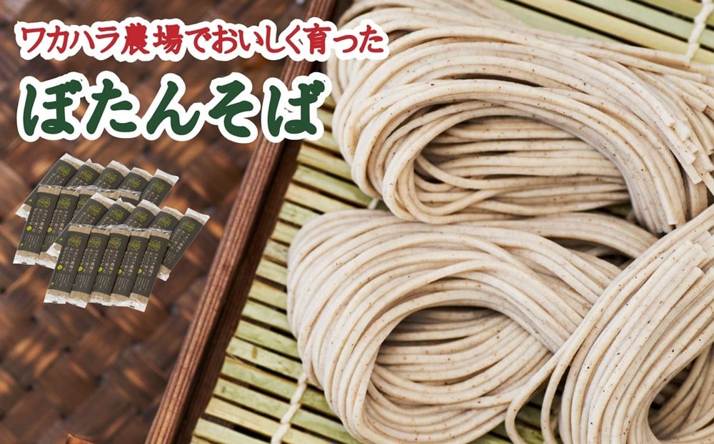 
L-5002 ワカハラ農場でおいしく育ったぼたんそば《太麺》 20束
