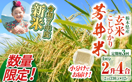 【ふるなび限定】【定期便3回】【数量限定】【令和7年度新米】新米那珂川町産芳井米 玄米 330g（2合分）×12 | こしひかり 新米 米 ごはん  ふっくら もちもち  ふるさと納税 那珂川町 栃木県