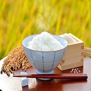 令和6年産福島県小野町産ひとめぼれ10kg(5kg×2袋)精米【1629174】