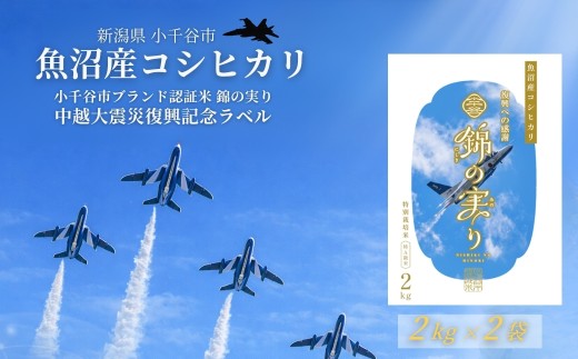魚沼産コシヒカリ 米 コシヒカリ 令和7年産 小千谷市ブランド認証米「錦の実り」特Aランク ブルーインパルスラベル 精米4kg（2kg✕2袋セット） | 特A評価 新潟産コシヒカリ 新潟県産コシヒカリ 魚沼産こしひかり お米 こしひかり 白米 精米 ブランド米【0002-0447】