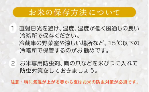令和7年産 コシヒカリ 3kg 福井県産【白米】【 お米 こめ 米 コメ 精米 こしひかり 3キロ 人気品種】 [e30-a095]