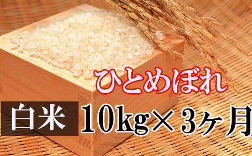 
            【令和7年産】 新米 11月上旬発送開始予定 ひとめぼれ 精米 10kg×3ヶ月定期便 ／ かきのうえ こめ 米 コメ お米 おこめ ご飯 ごはん 白米 白飯 おにぎり 定期 定期便 お弁当 仕送り お取り寄せ 産地直送 単一原料米 国産 国産米 東北 岩手県産 八幡平市産 おすすめ
          