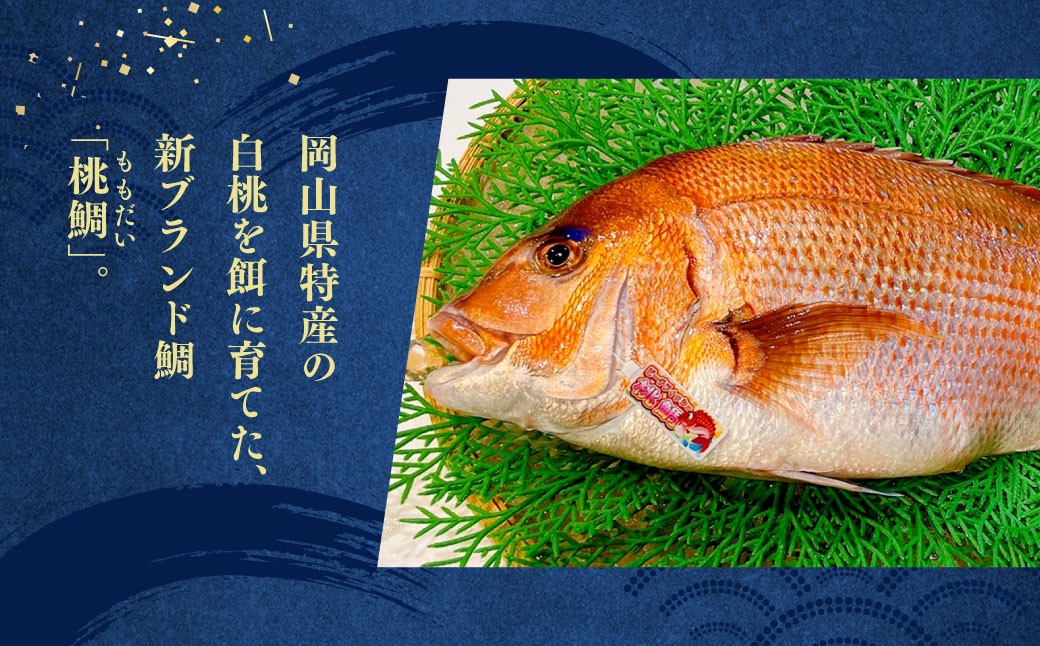 岡山ブランド魚 桃鯛 桃鯛の炙りと漁師秘伝漬け丼セット