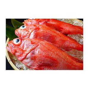知床羅臼産真ホッケの開き（特大）3枚とめんめ（きんき）の開き2枚セット（鮭節昆布醤油付き） ｜ ほっけ 北海道 