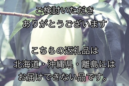 HT-1　【令和６年発送・先行予約】岡山県産　白桃（1玉300ｇ以上）6玉　等級：ロイヤル　化粧箱入り