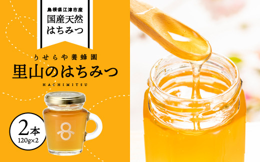 
            里山のはちみつ(120g×2本)セット 計240g【RY-4】｜国産 国産はちみつ 天然 はちみつ ハチミツ 蜂蜜 瓶 パン ハニートースト ホットケーキ ヨーグルト セット 島根県 江津市
          