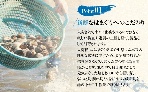 マルヨシ水産　桑名産大粒天然蛤　1kg_はまぐり