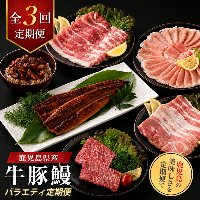 【ふるさと納税】【全3回定期便】鹿児島県産牛・豚・鰻バラエティ定期便 牛肉 ステーキ 赤身 冷凍 肉 黒毛和牛 和牛 国産 A4 モモ 豚肉 しゃぶしゃぶ ロース 豚バラ うなぎ 鰻 ウナギ 国産 蒲焼き かばやき うな重 うな丼 ひつまぶし 鹿児島県 きざみ