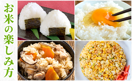 白米 5kg さこんたろう《90日以内に発送予定(土日祝除く)》熊本県 御船町 コメ おこめ 白米 ごはん 熊本県産