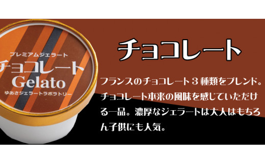 プレミアムジェラート チョコレート12個セット アイスクリームセット 100mlカップ ゆあさジェラートラボラトリー【ntb700-03】_イメージ1