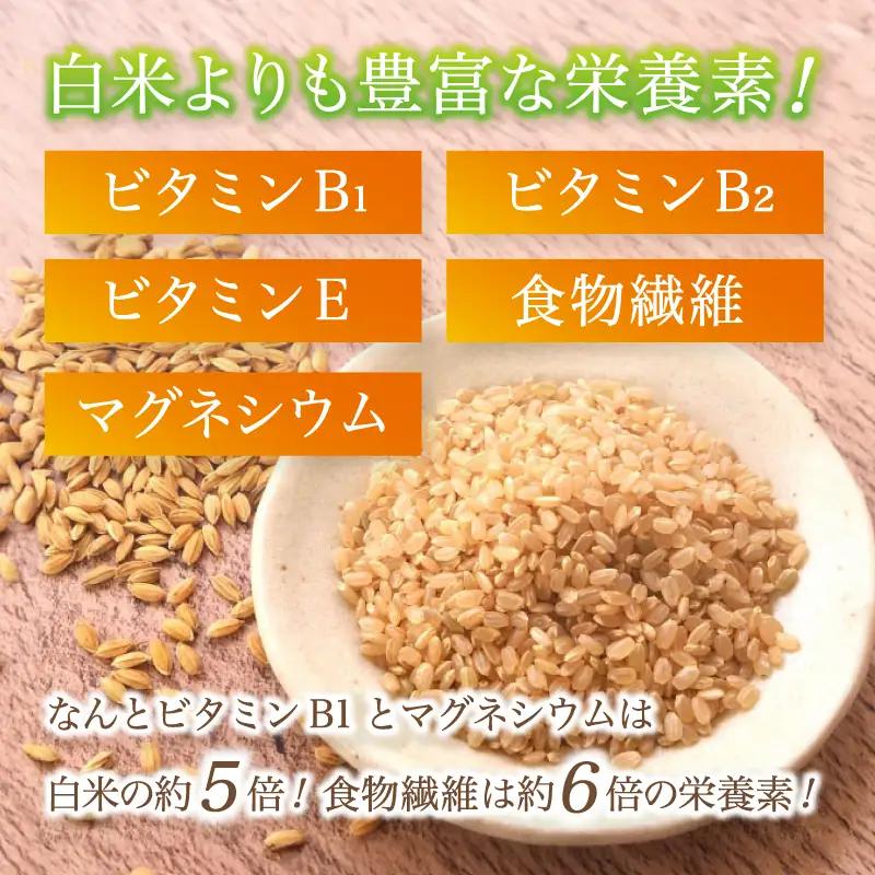 特別栽培米 竹炭米 玄米 コシヒカリ 10kg ： お米